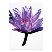 Dragonfly on Purple Water Lily Custom Invitation