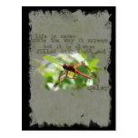 Dragonfly Postcard