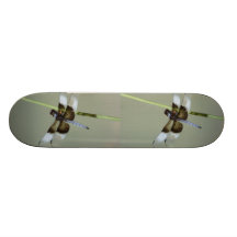 Dragonfly Skateboard