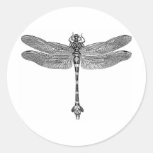 Dragonfly Sticker