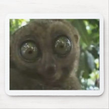Dramatic Lemur Mouse Pad