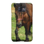 Draught   Horse Samsung Galaxy Case