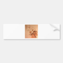 Drawing of Cannons by Leonardo Da VInci Bumper Sticker