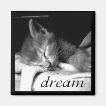 Dream Kitten - Magnet