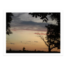 dream post cards
