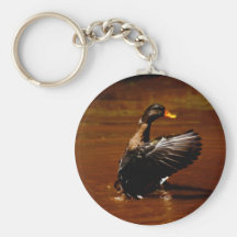 Dreaming Of Flight Key Chains