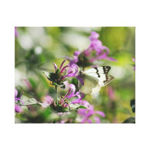 Dreamy butterfly gallery wrap canvas