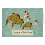 Dreamy Camels Christmas Card