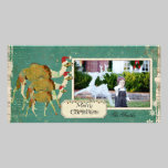 Dreamy Camels Christmas Photo Card photo cards