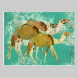 Dreamy Camels  Postcard postcards