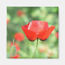 Dreamy Flower Magnet