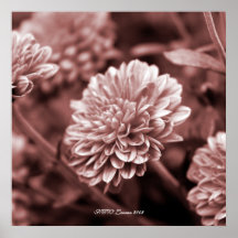 Dreamy Mum Print