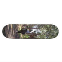 Dressage Skate Skate Board