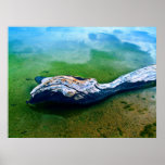 Drifting Print