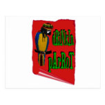 Drinkin' Parrot Postcard