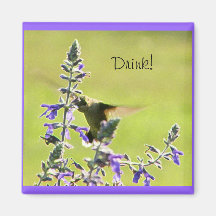 Drinking Hummingbird Magnet