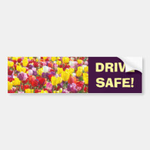 DRIVE SAFE bumper stickers Tulip Flowers
