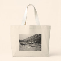Driving pack mules across a river bags