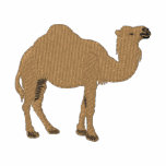 Dromedary Jacket