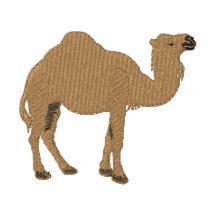 Dromedary Jacket