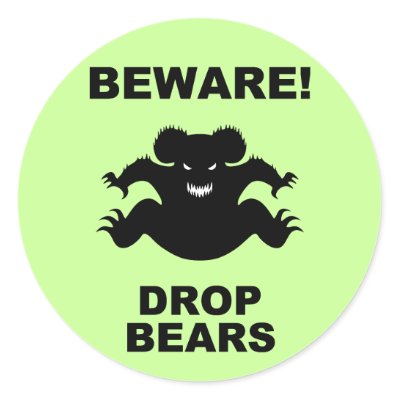 australia drop bear