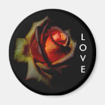 Drown Me In Love, LOVE Fridge Magnets