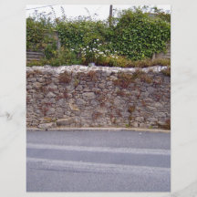 Dry Stone Wall With Plants Besides Road Flyer