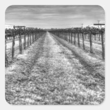 Dry Vines Stickers
