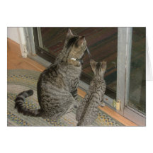 DSCF0123 GREETING CARDS