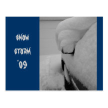 DSCF1087, snow storm '09 Post Card