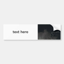 Duck Bumper Stickers