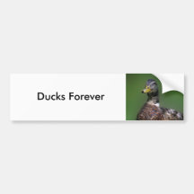 Duck Bumper Stickers