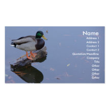 Duck Business Cards