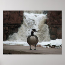 Duck Duck Goose Poster