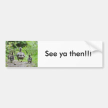 Duck Family Bumper Sticker