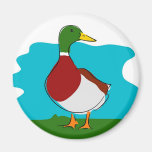 Duck Fridge Magnet