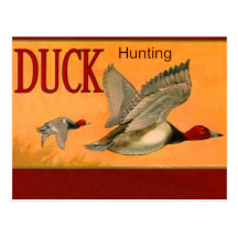 Duck Hunting Postcard