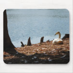 Duck in the Sun Mouse Pad
