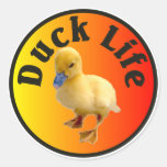 Duck Life Sticker