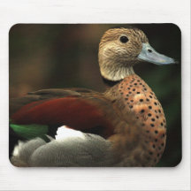 Duck Mousepad
