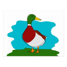 Duck Postcards