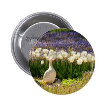 Duck Statue Buttons