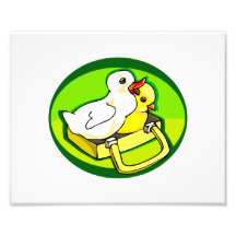 duckling chick in suitecase green back photo art