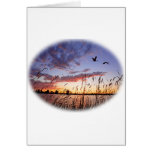 Ducks at Dawn-Duck Hunting Greeting Cards