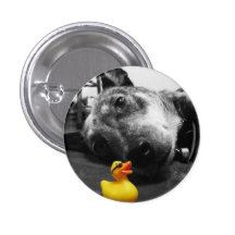 'Ducks Best Friend' Rubber Duck Button (small)