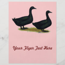 Ducks:  Black Cayugas Flyer