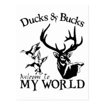 DUCKS & BUCKS POSTCARD