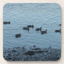 Ducks. Coasters