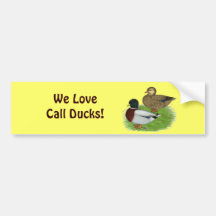 Ducks:  Grey Calls Bumper Stickers