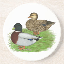 Ducks:  Grey Calls Drink Coasters